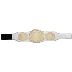 XXL GOLD CUSTOM CHAMPIONSHIP BELT  ***BEST SELLER***